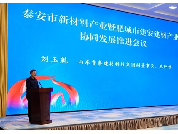 泰安新材料产业协同发展大会：鲁泰集团作典型发言，领导调研绿色建材基地