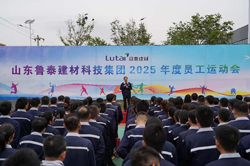 图片11