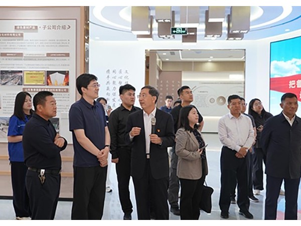 『集团资讯』省工信厅领导莅临鲁泰产发集团调研